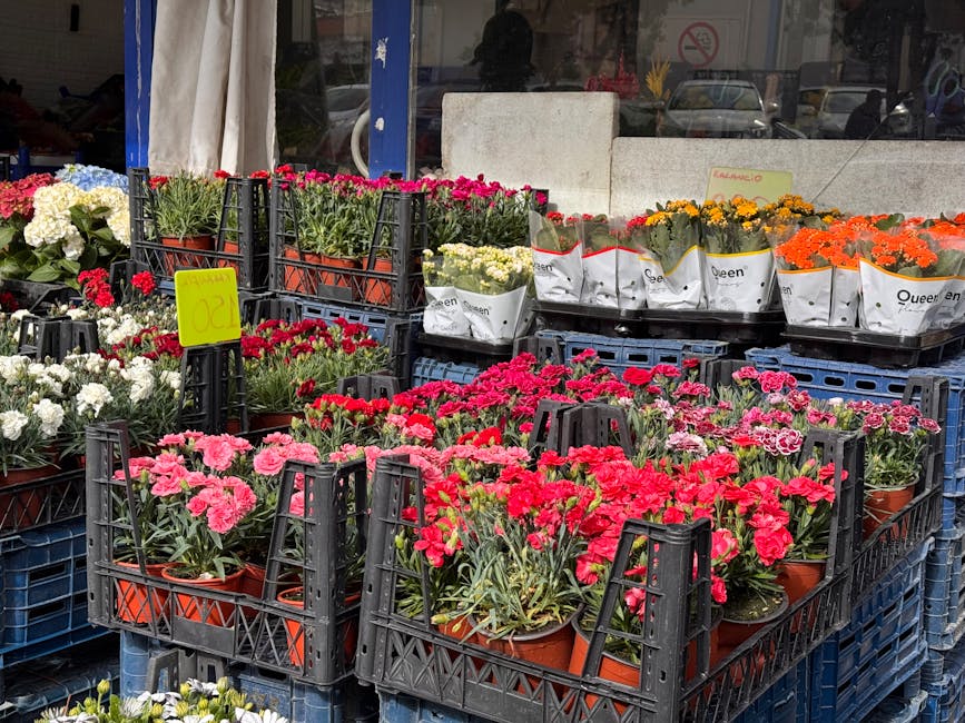 A display of vibrant flowering plants at a flower market outside a florist shop, with potted pink, red, white, yellow, and orange flowers arranged in black plastic crates and white paper wrappers. The