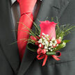 ROYAL ESSENCE BUTTONHOLE