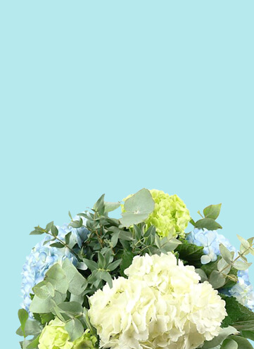 Same day Flowers Harringay